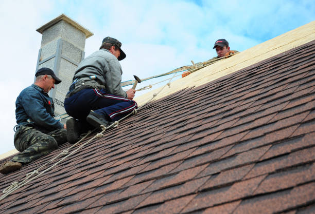 Best Roof Leak Repair  in Wynnewood, OK